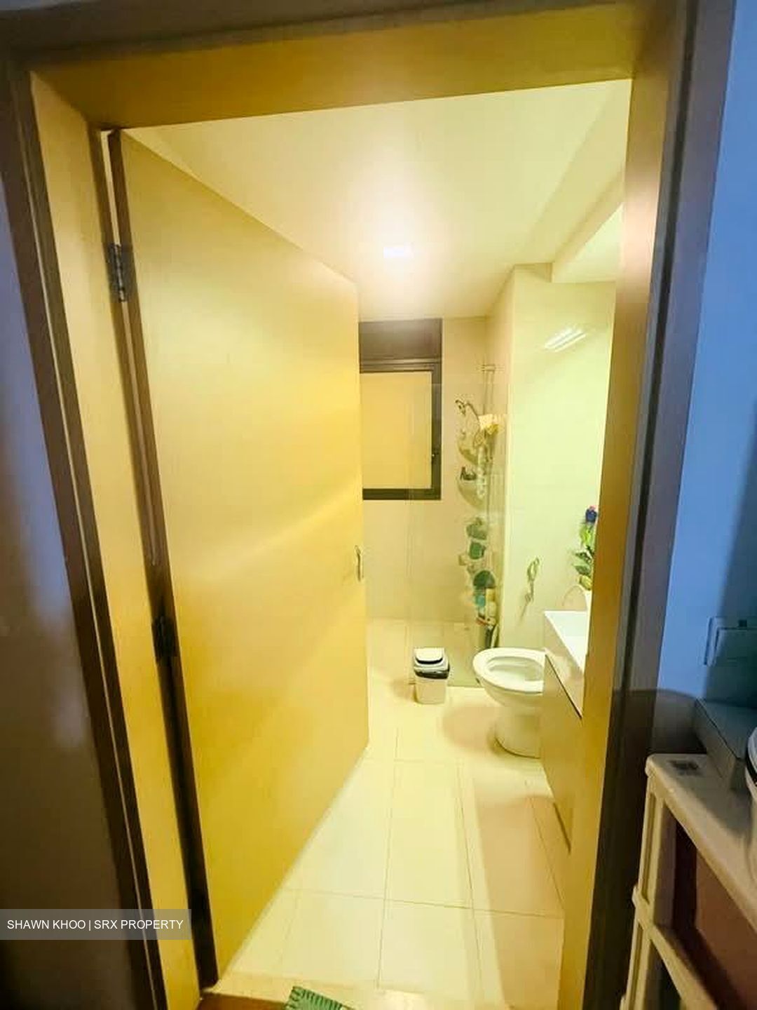 Twin Waterfalls (D19), Condominium #574903751